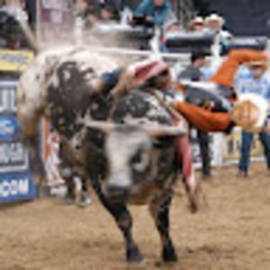 Meet your Posher, Dale